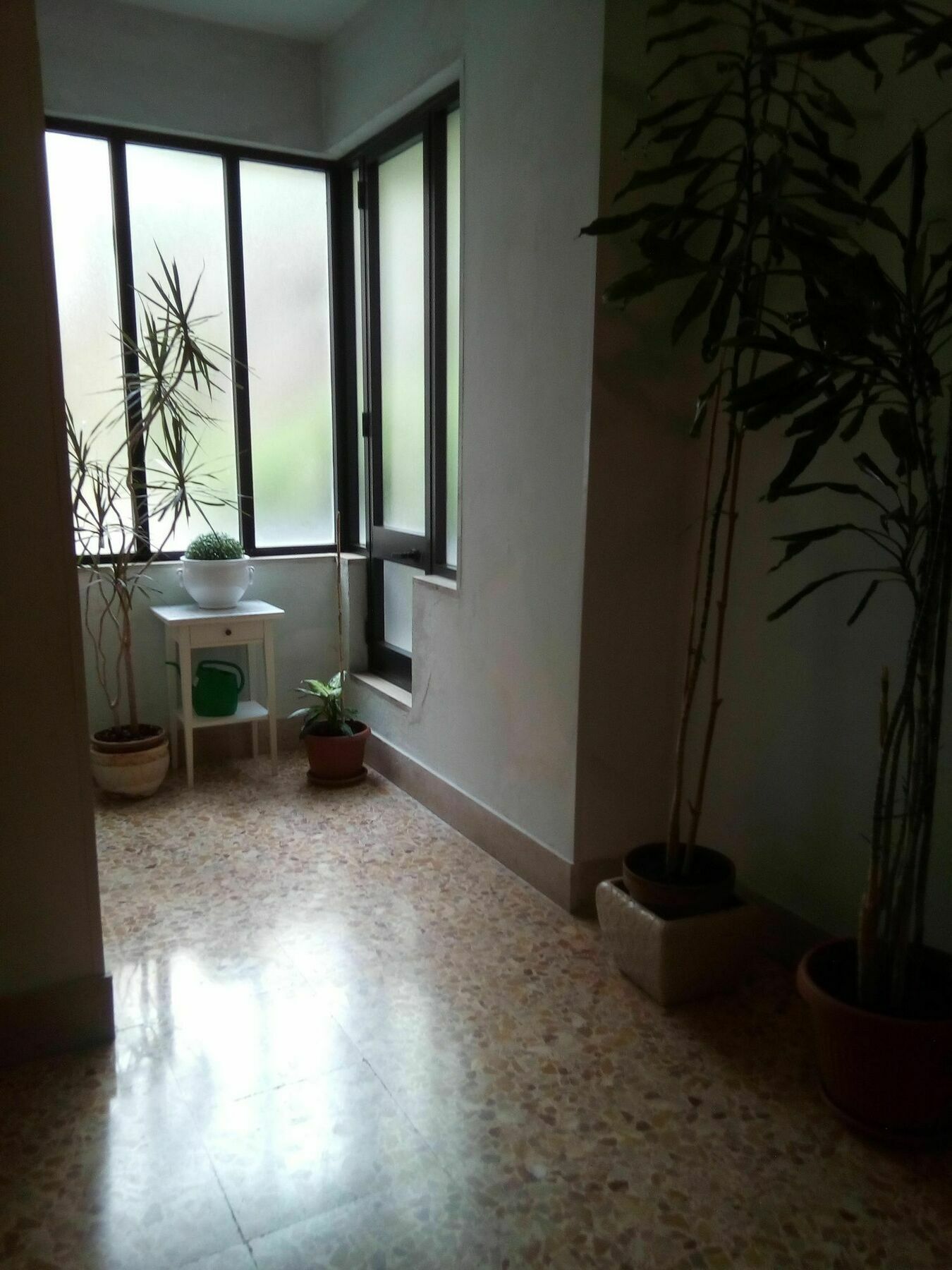 Dreaming Rooms 里奥马哲雷 外观 照片